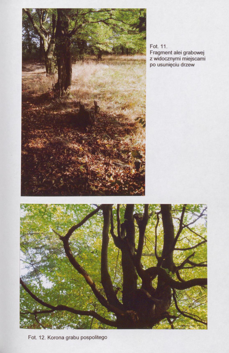 EP - Ewidencja parkowa, skan nr 34