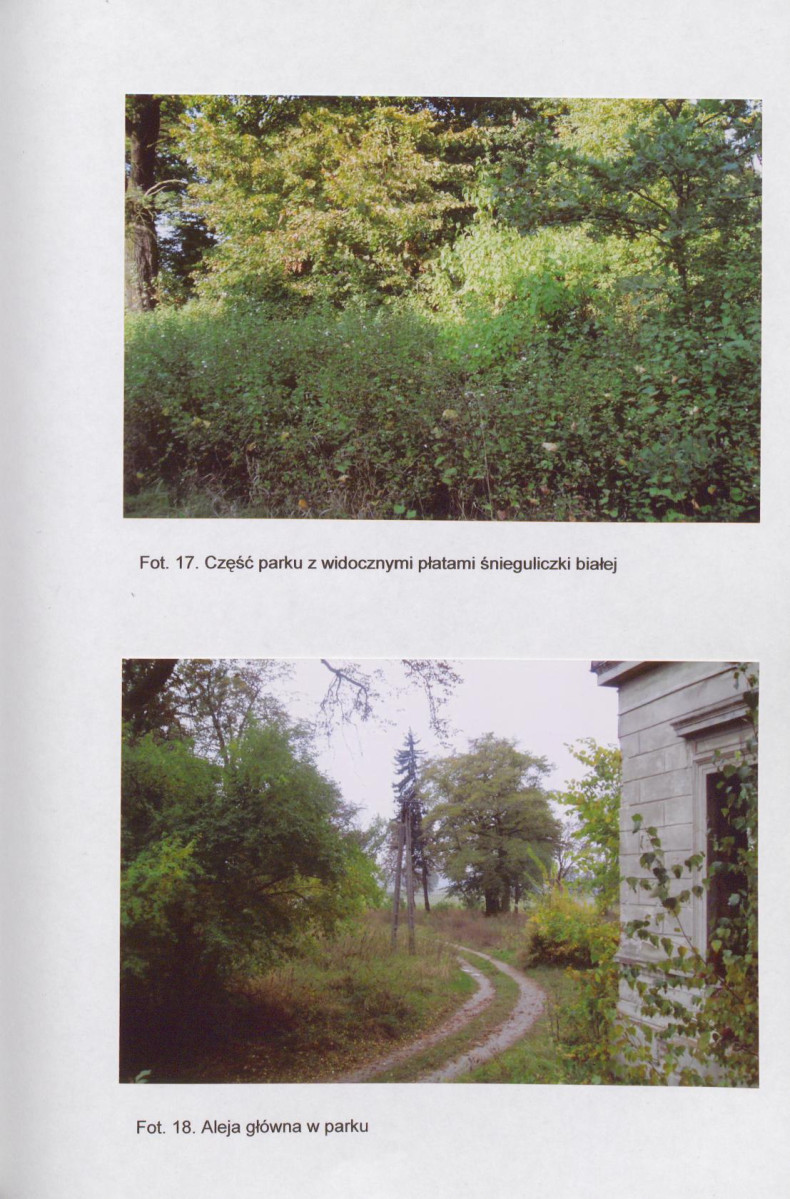 EP - Ewidencja parkowa, skan nr 37