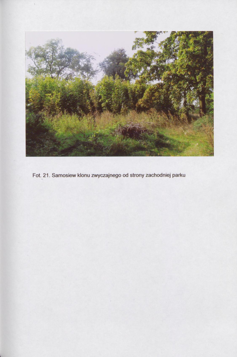 EP - Ewidencja parkowa, skan nr 39
