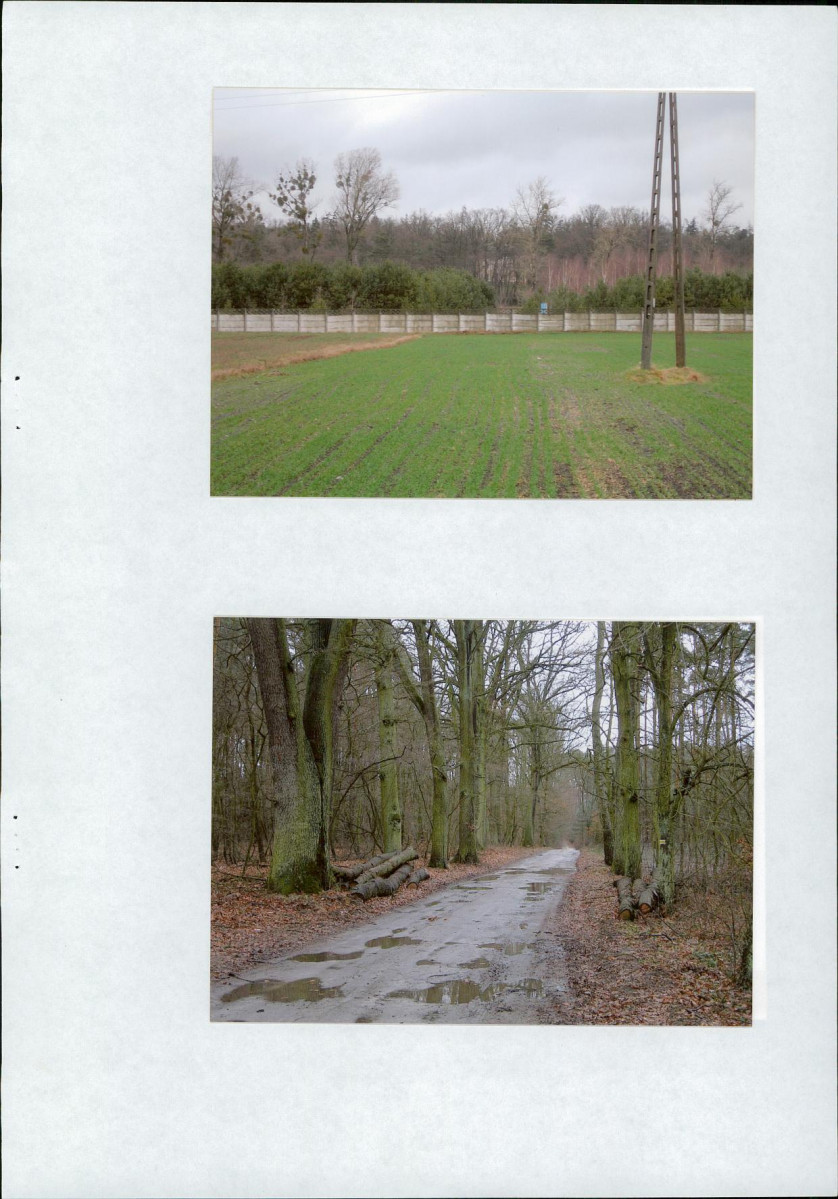 EP - Ewidencja parkowa, skan nr 18