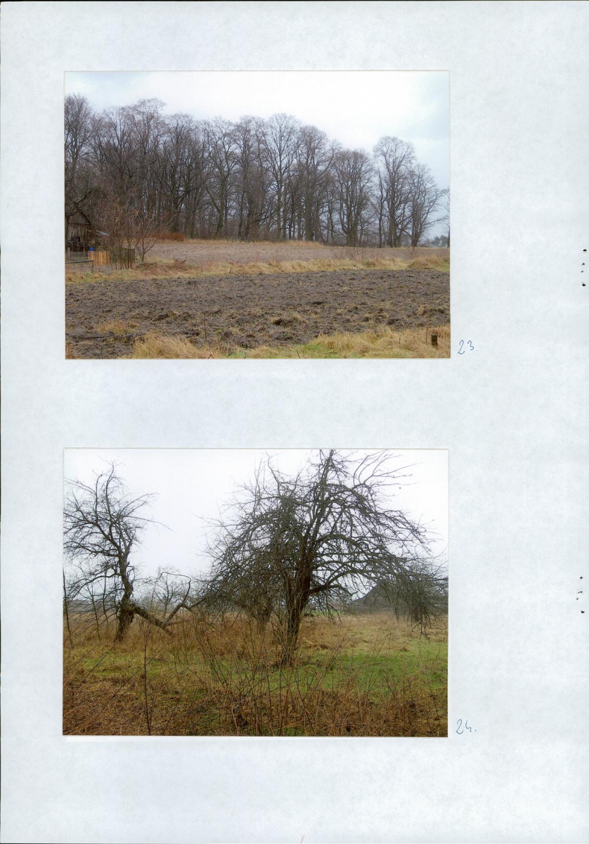 EP - Ewidencja parkowa, skan nr 31