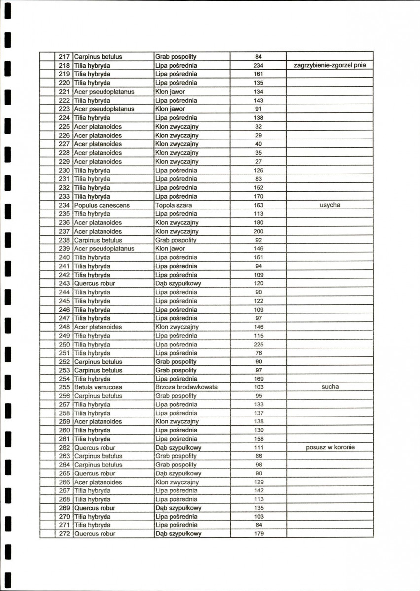 Ewidencja parkowa, skan nr 26