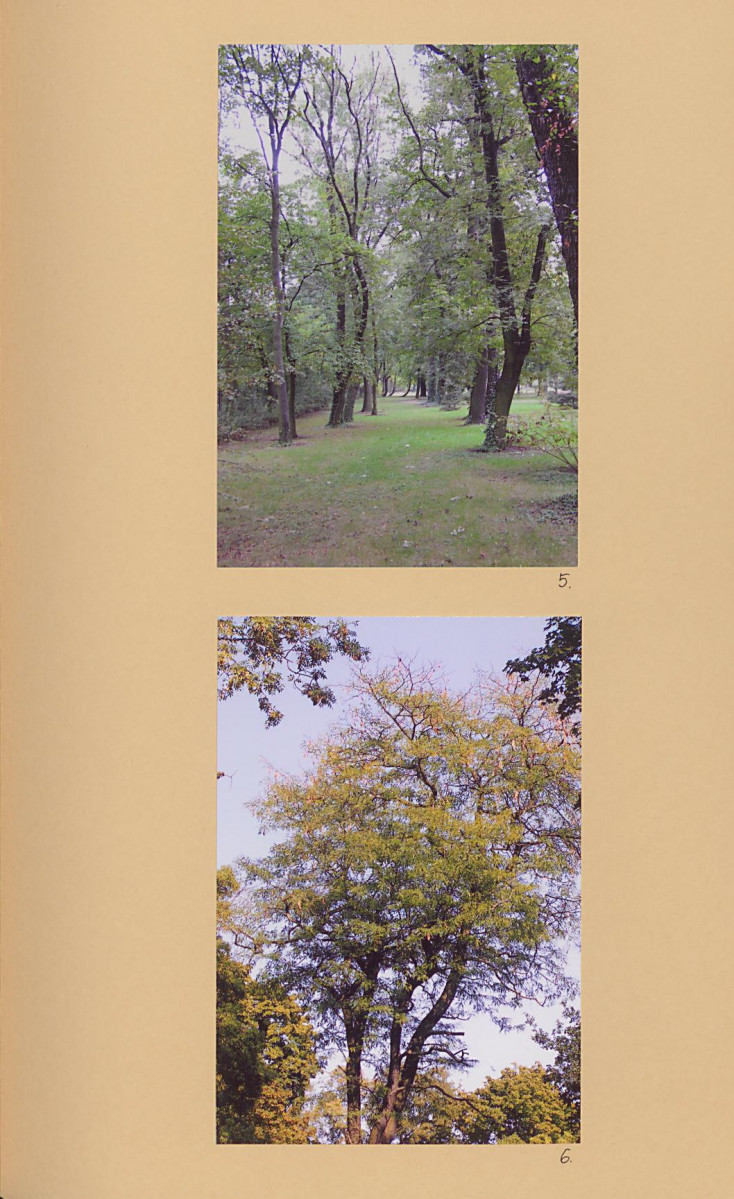 EP - Ewidencja parkowa, skan nr 52