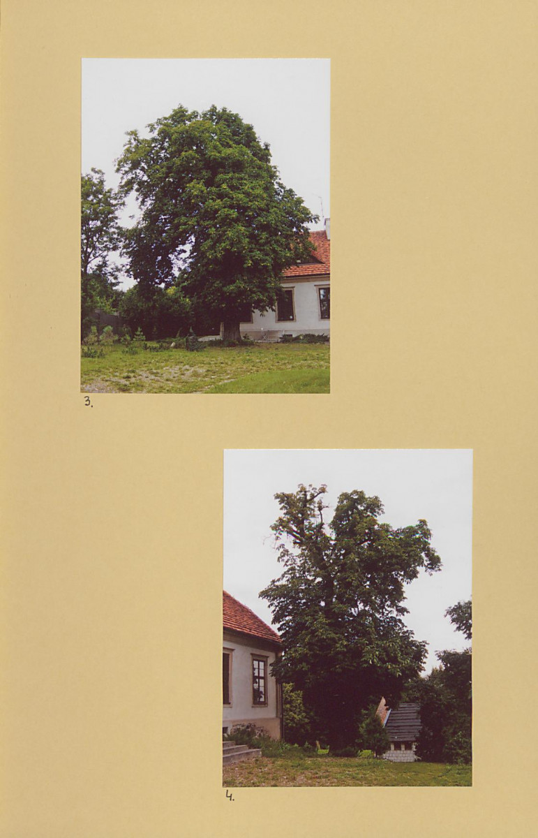 EP - Ewidencja parkowa, skan nr 27