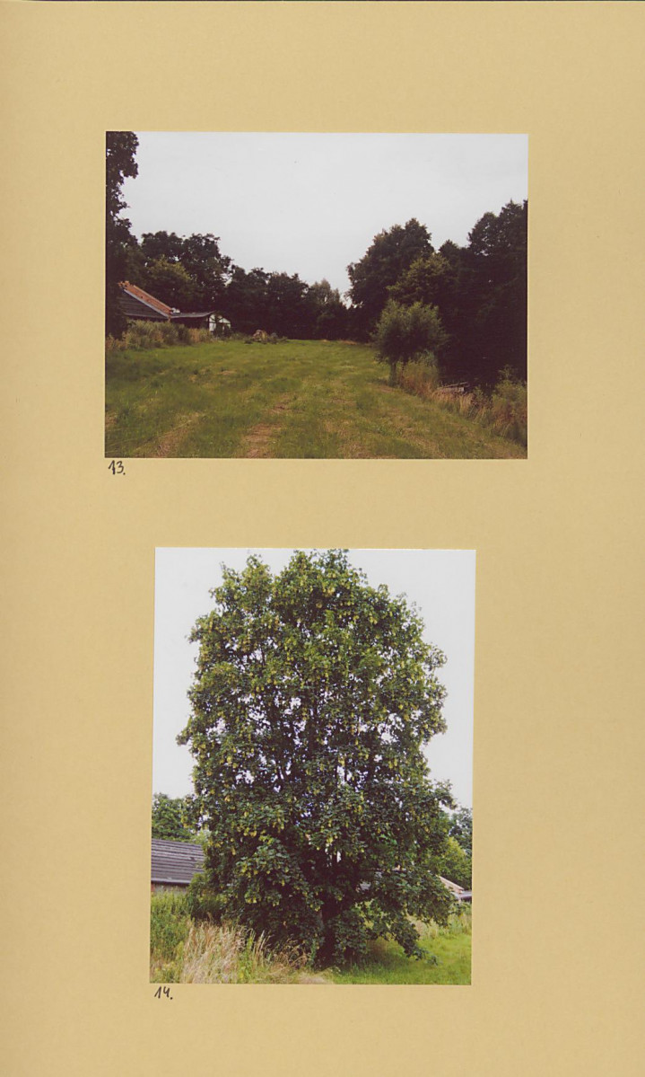 EP - Ewidencja parkowa, skan nr 32