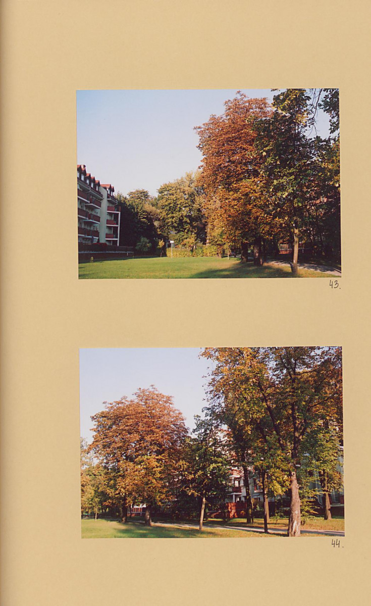 EP - Ewidencja parkowa, skan nr 71