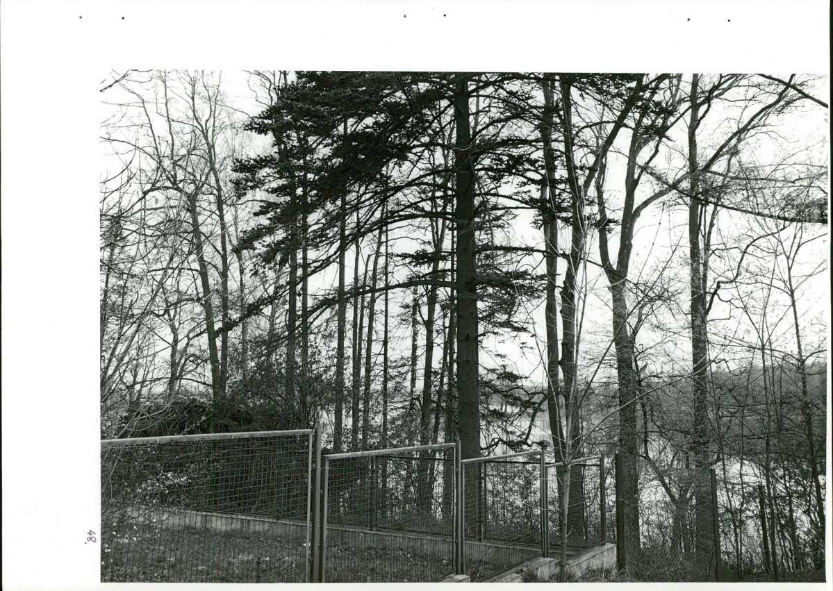 Ewidencja parkowa, skan nr 85