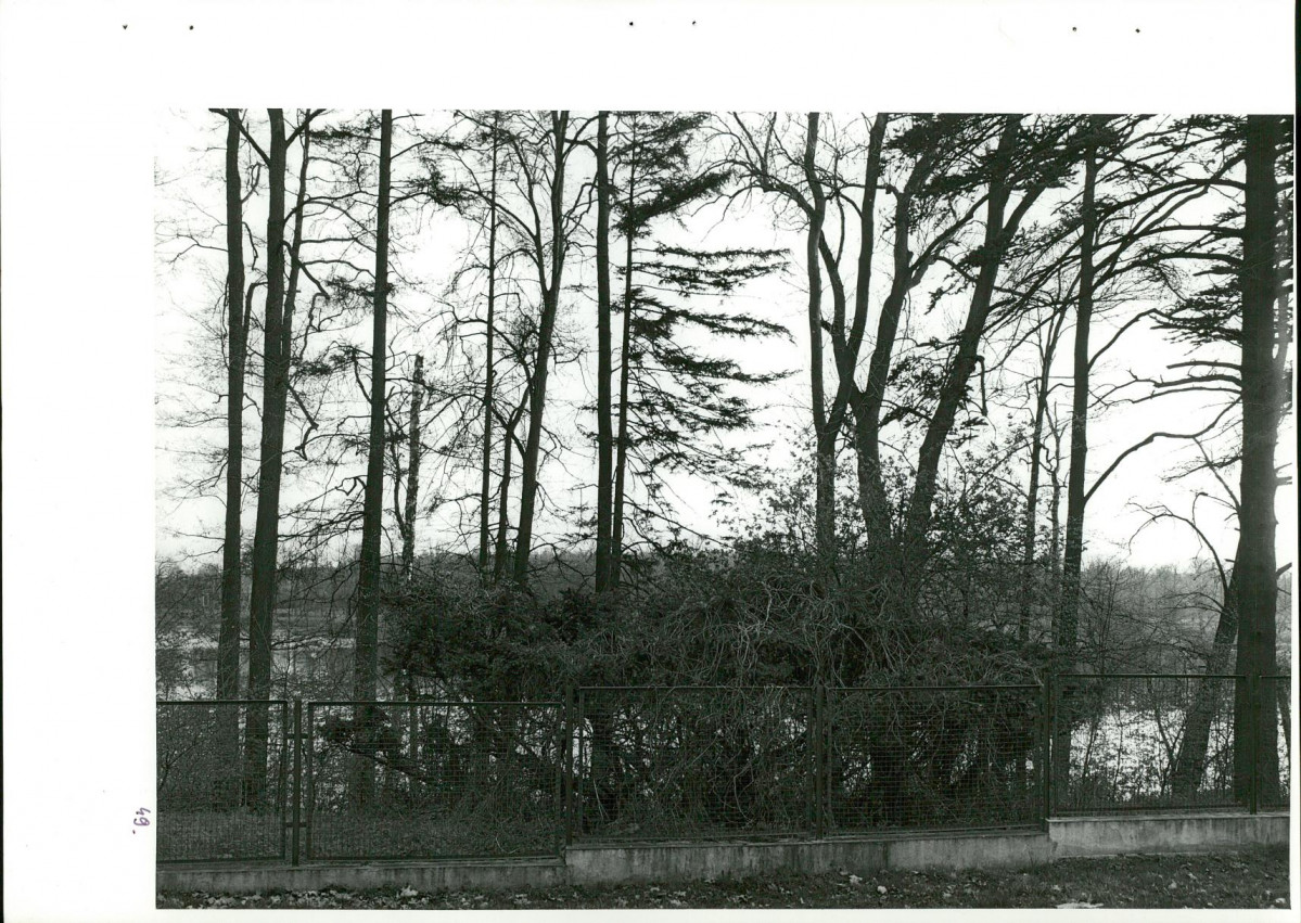 Ewidencja parkowa, skan nr 86