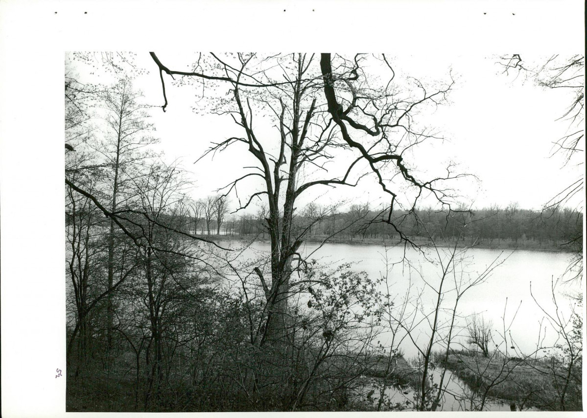 Ewidencja parkowa, skan nr 91