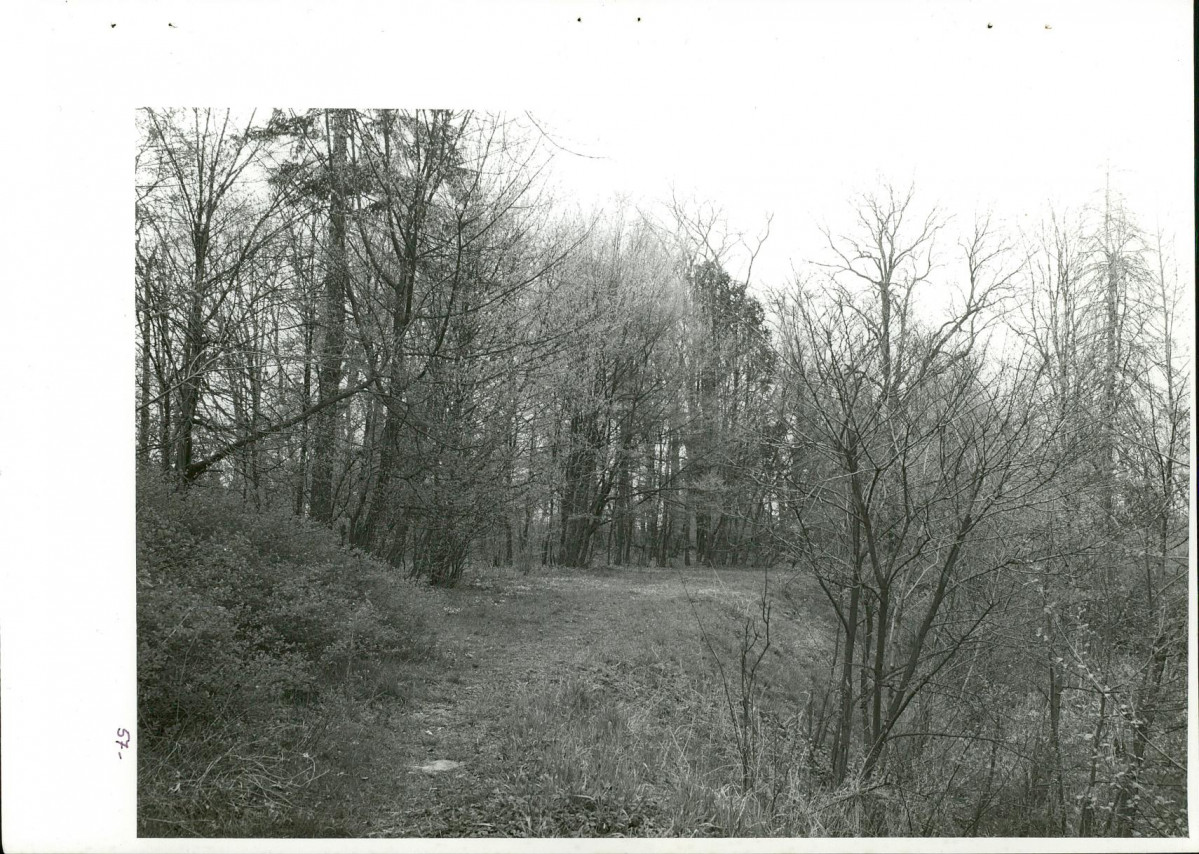 Ewidencja parkowa, skan nr 94
