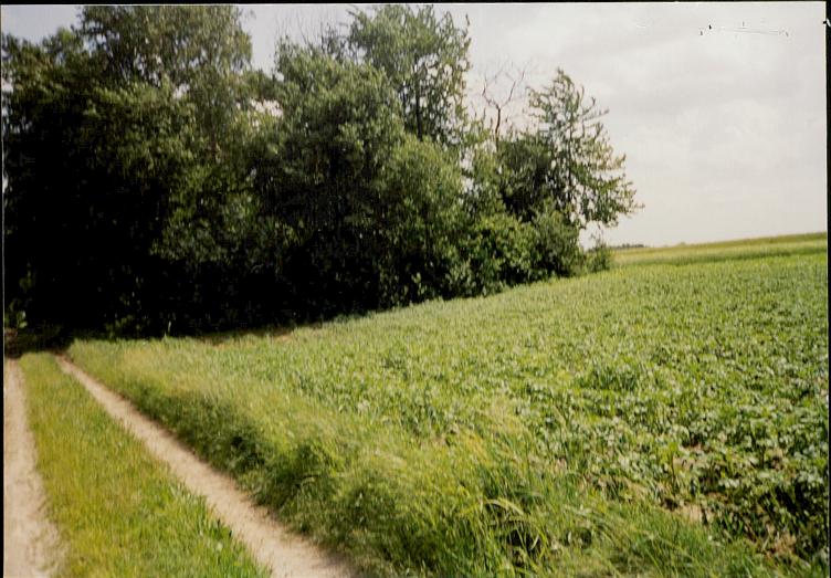 karta ewidencyjna, skan nr 3