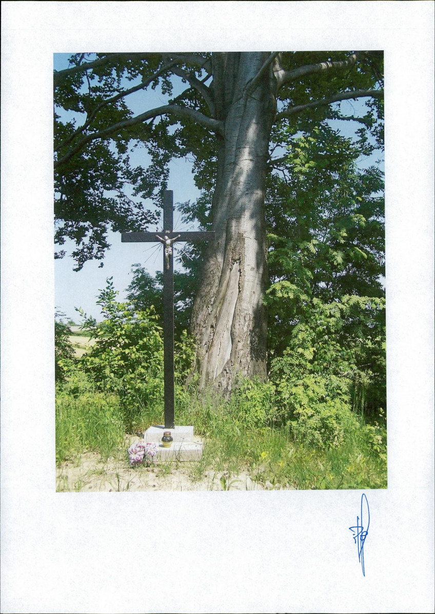 karta ewidencyjna, skan nr 3