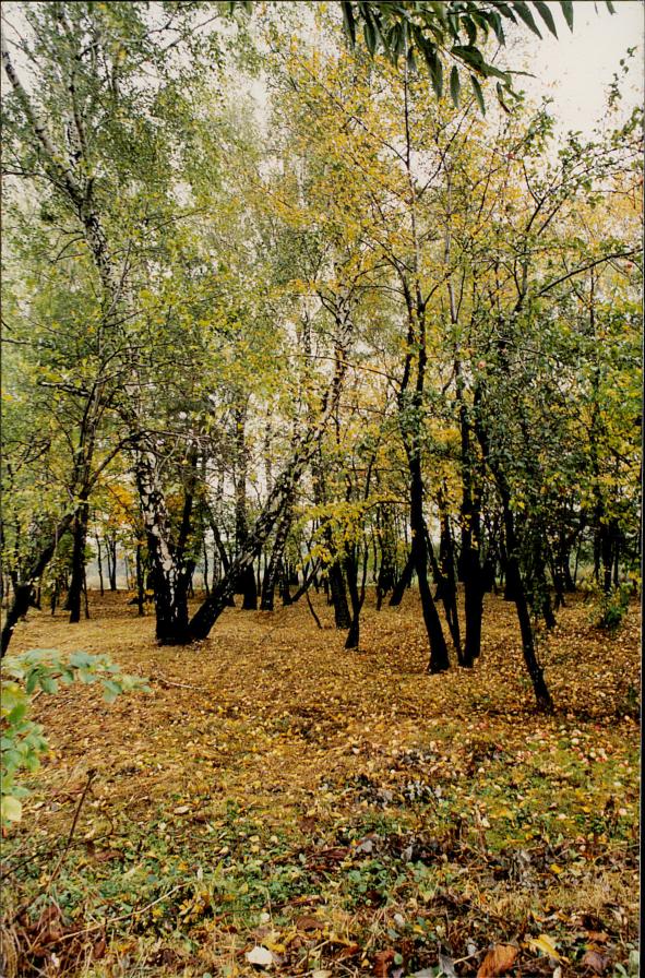 karta ewidencyjna, skan nr 4