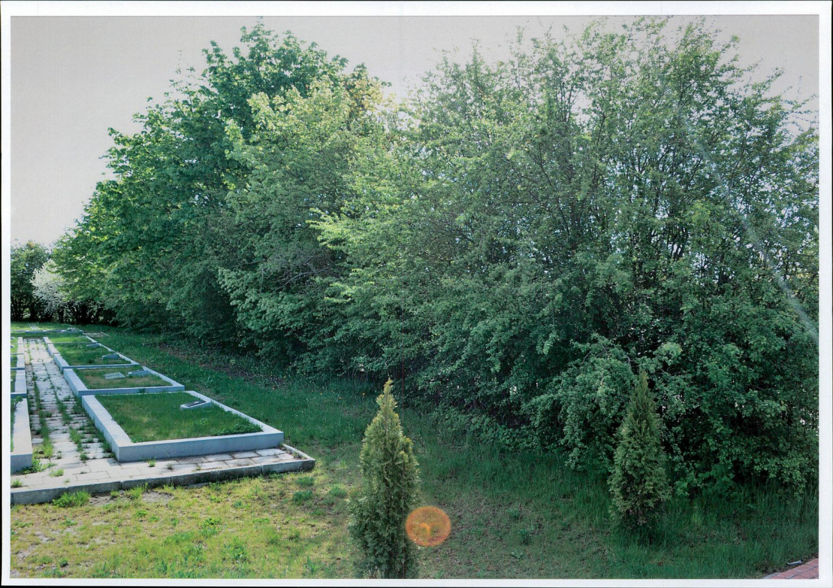 inne, skan nr 15