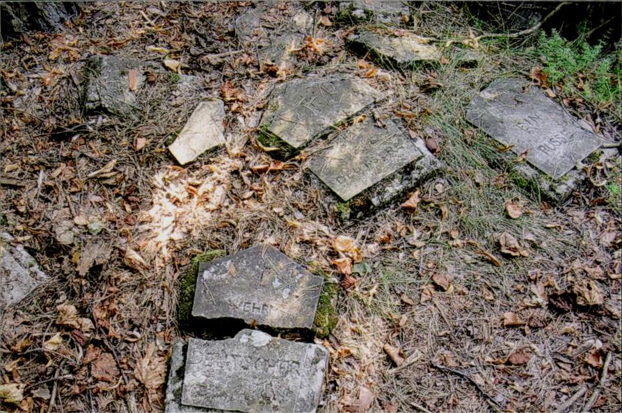karta ewidencyjna, skan nr 12
