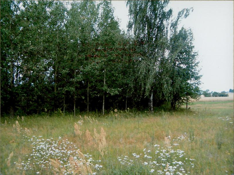 karta ewidencyjna, skan nr 7