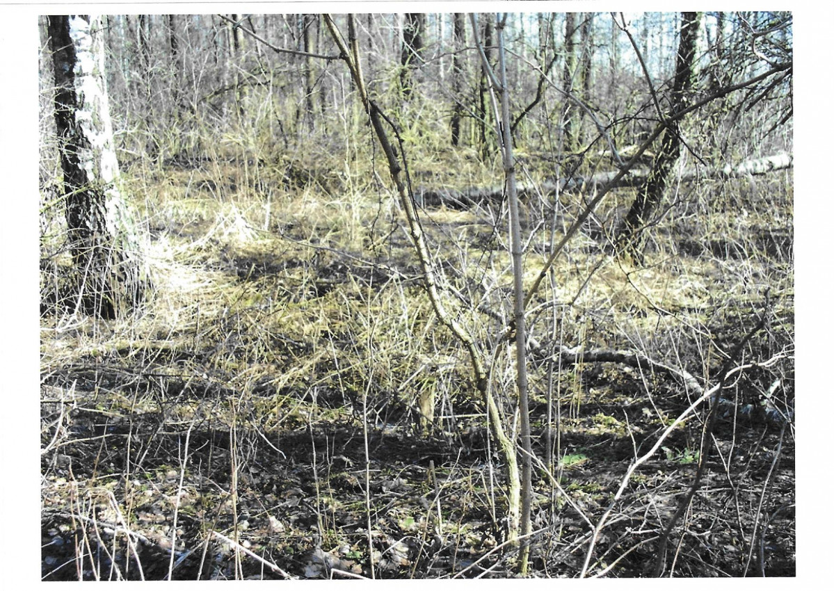 karta ewidencyjna, skan nr 9