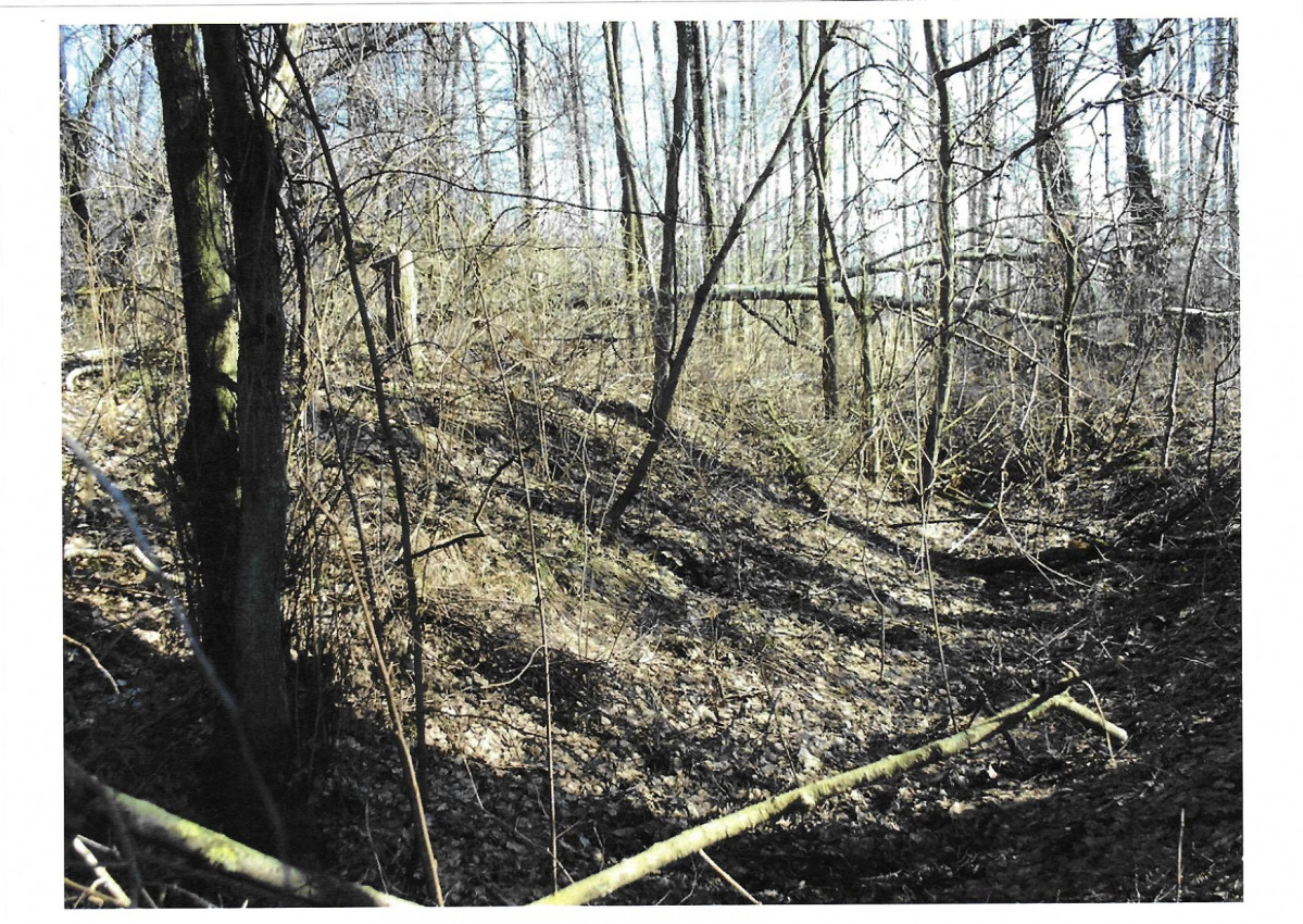 karta ewidencyjna, skan nr 11