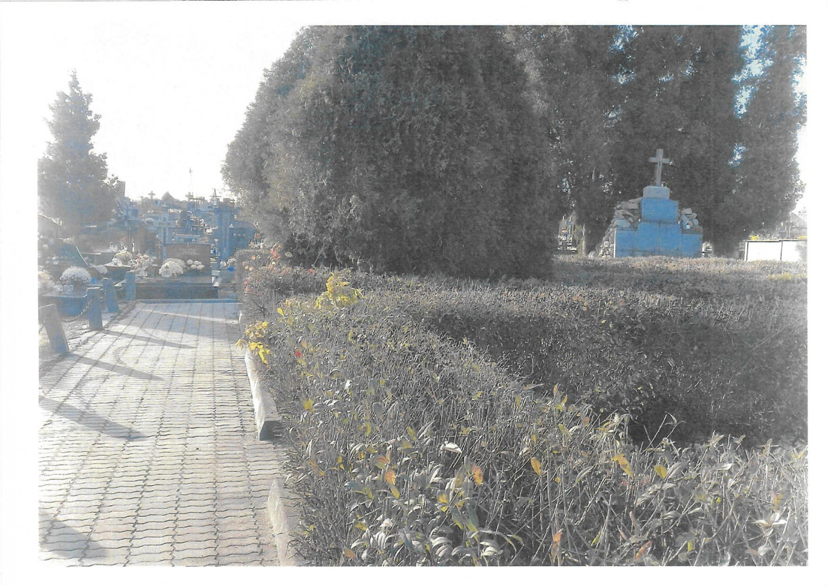 karta ewidencyjna, skan nr 6