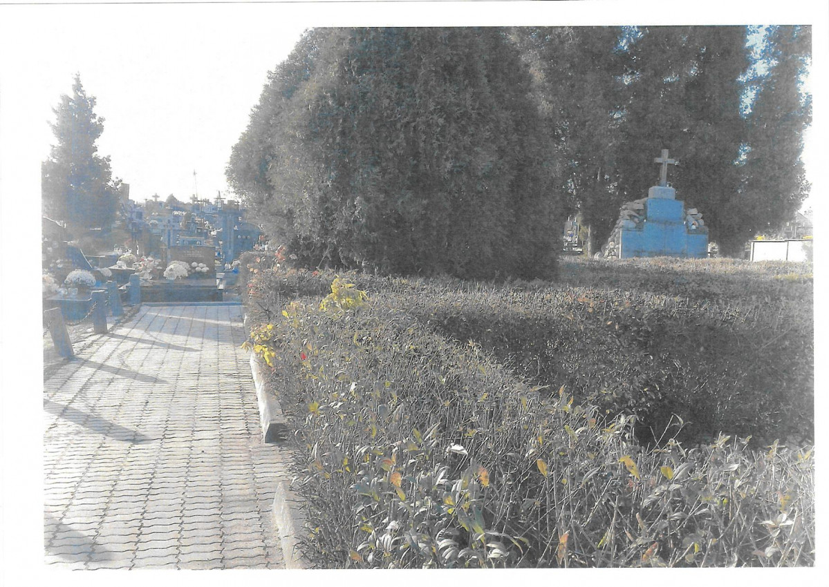 karta ewidencyjna, skan nr 7