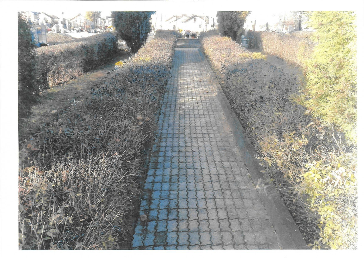 karta ewidencyjna, skan nr 9