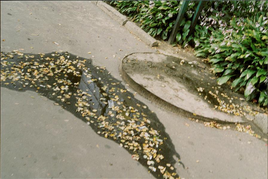 karta ewidencyjna, skan nr 17