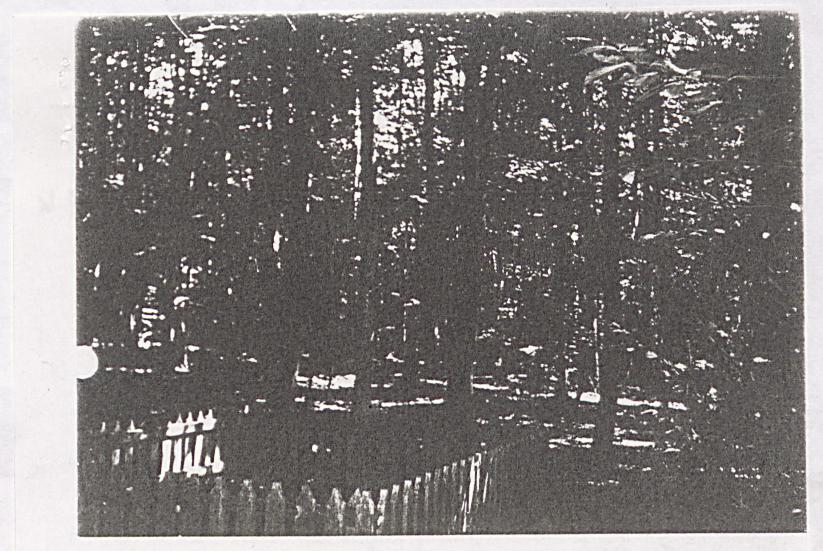kewd - karta ewidencyjna, skan nr 5