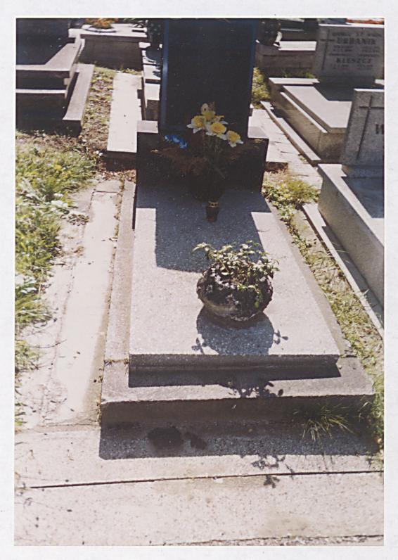 karta ewidencyjna, skan nr 17