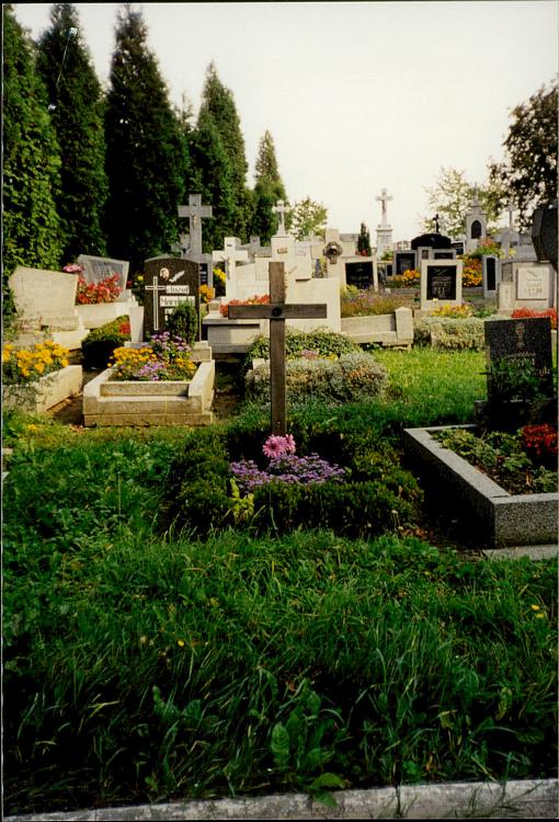 karta ewidencyjna, skan nr 4