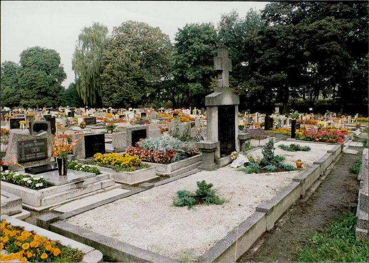 karta ewidencyjna, skan nr 24