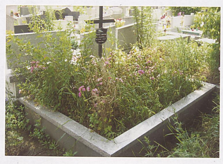 karta ewidencyjna, skan nr 3