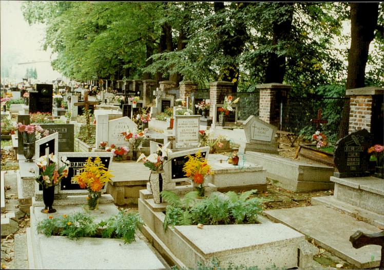 karta ewidencyjna, skan nr 31