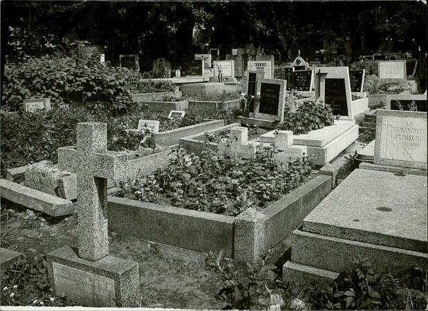 karta ewidencyjna, skan nr 15