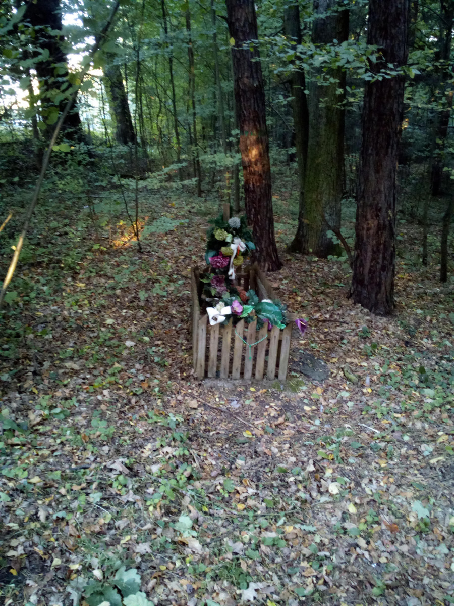 karta ewidencyjna, skan nr 5