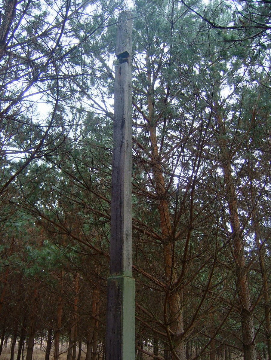 karta ewidencyjna, skan nr 8