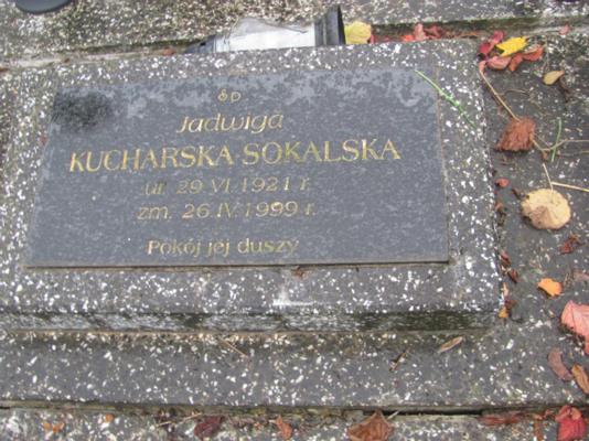 karta ewidencyjna, skan nr 16