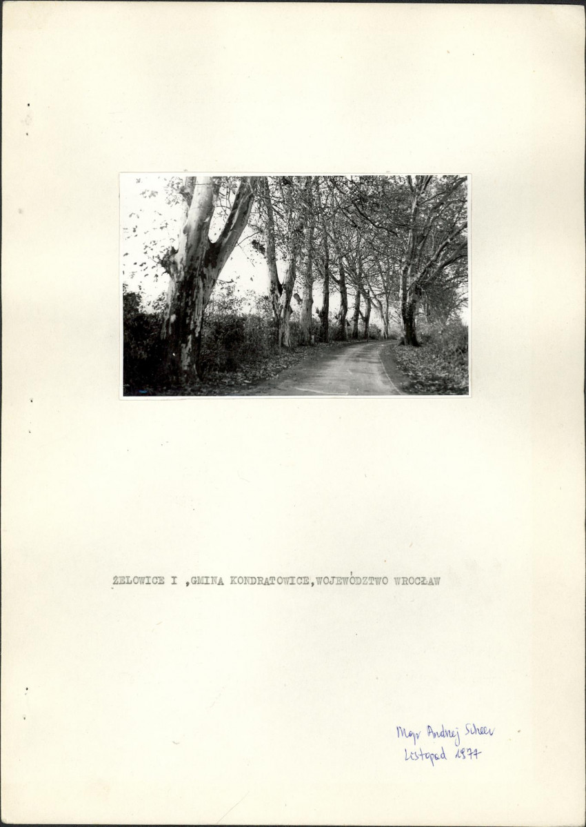 Ewidencja parkowa, skan nr 2