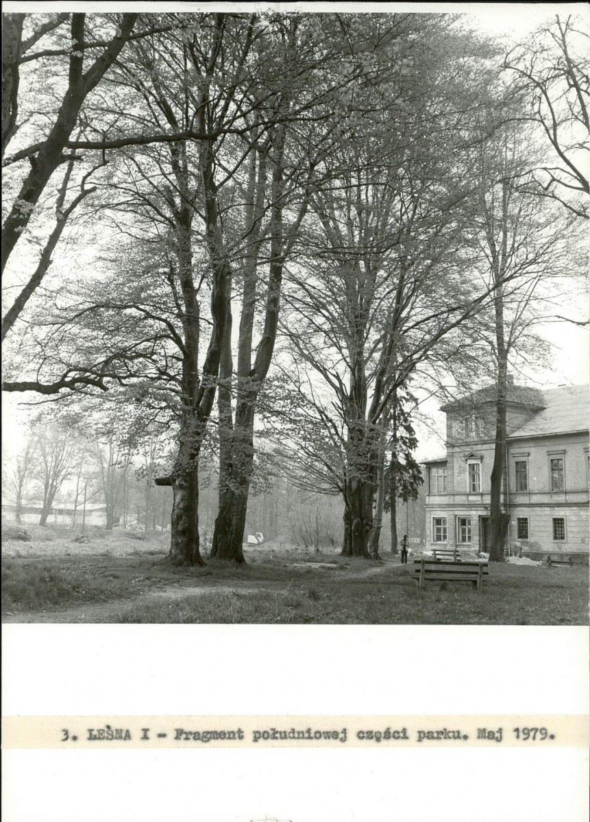 Ewidencja parkowa, skan nr 19