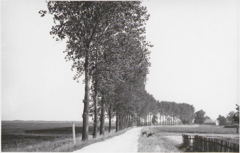 Ewidencja parkowa, skan nr 3