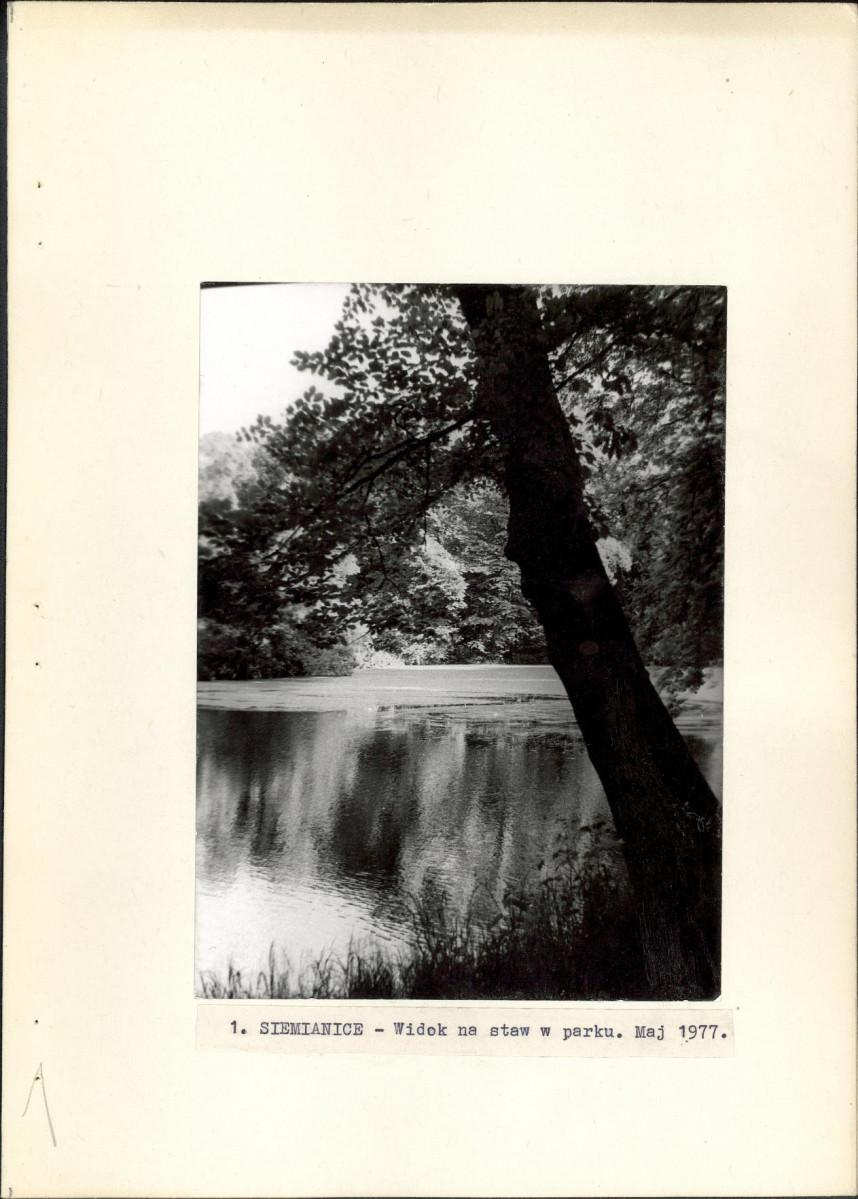 Ewidencja parkowa, skan nr 23