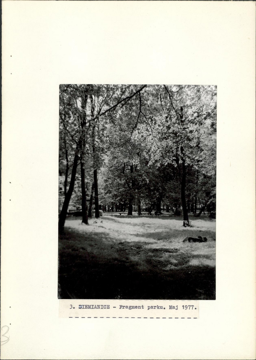 Ewidencja parkowa, skan nr 25
