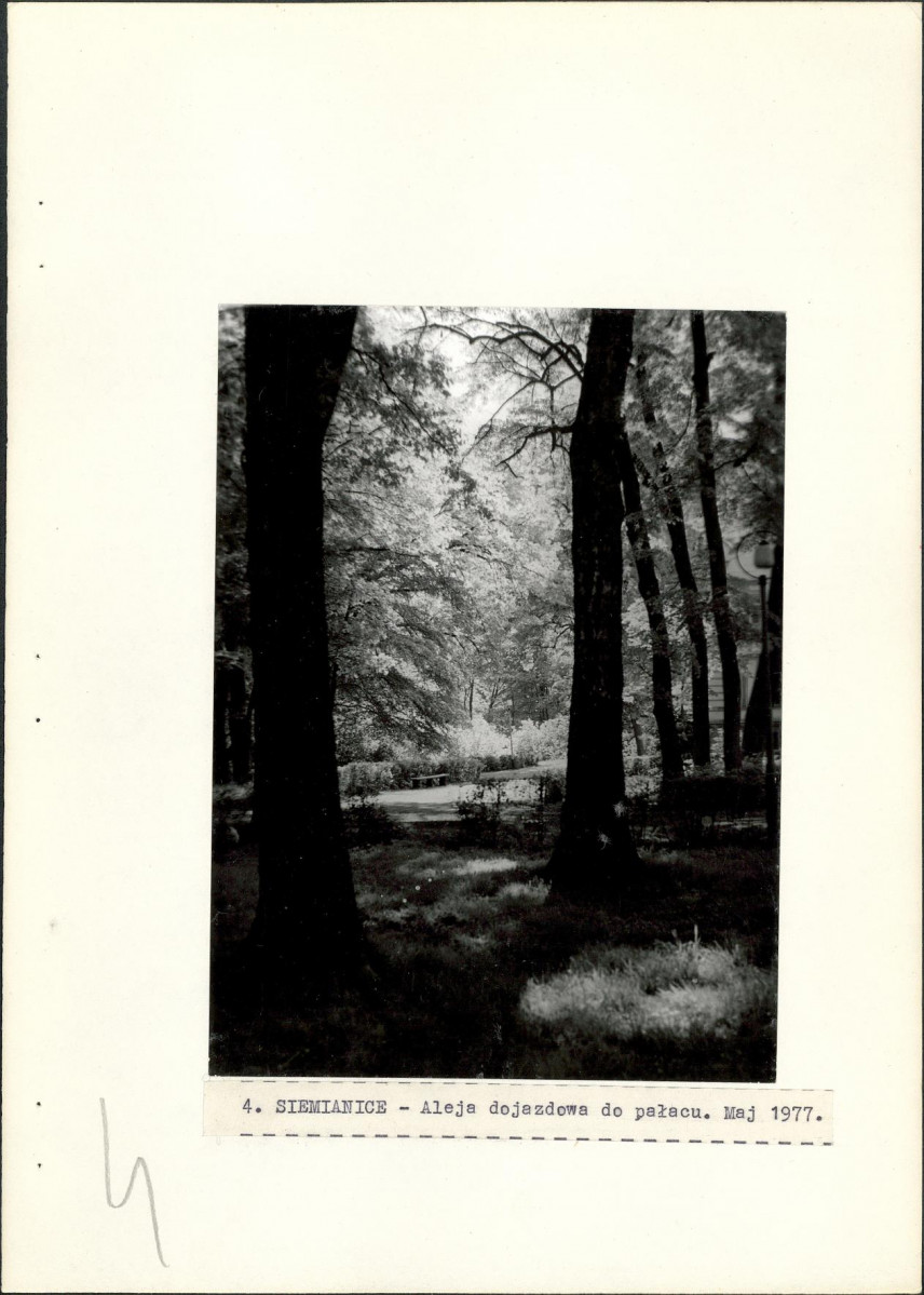 Ewidencja parkowa, skan nr 26