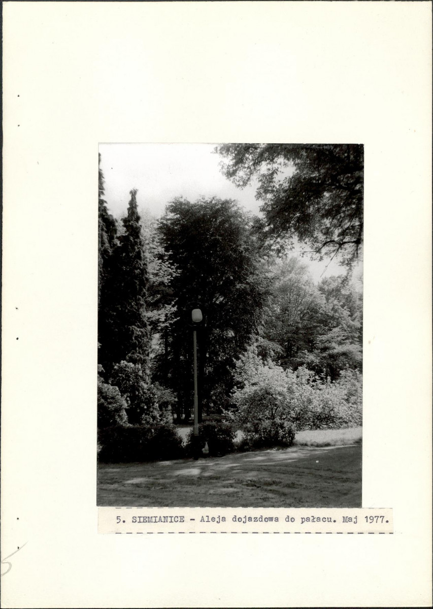 Ewidencja parkowa, skan nr 27