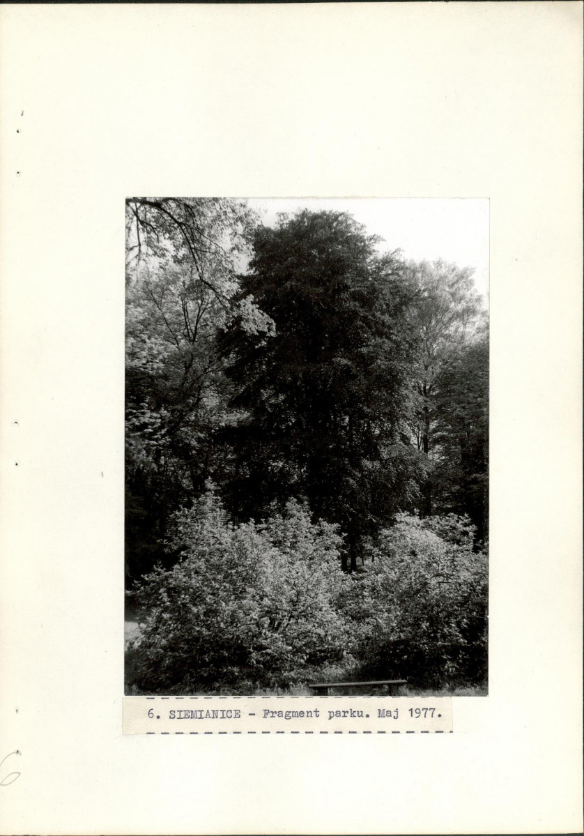 Ewidencja parkowa, skan nr 28