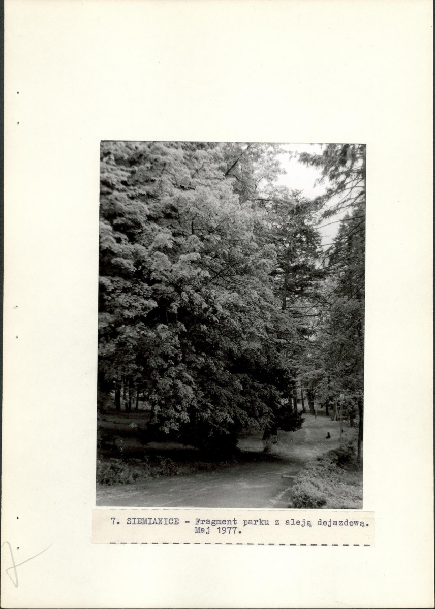 Ewidencja parkowa, skan nr 29