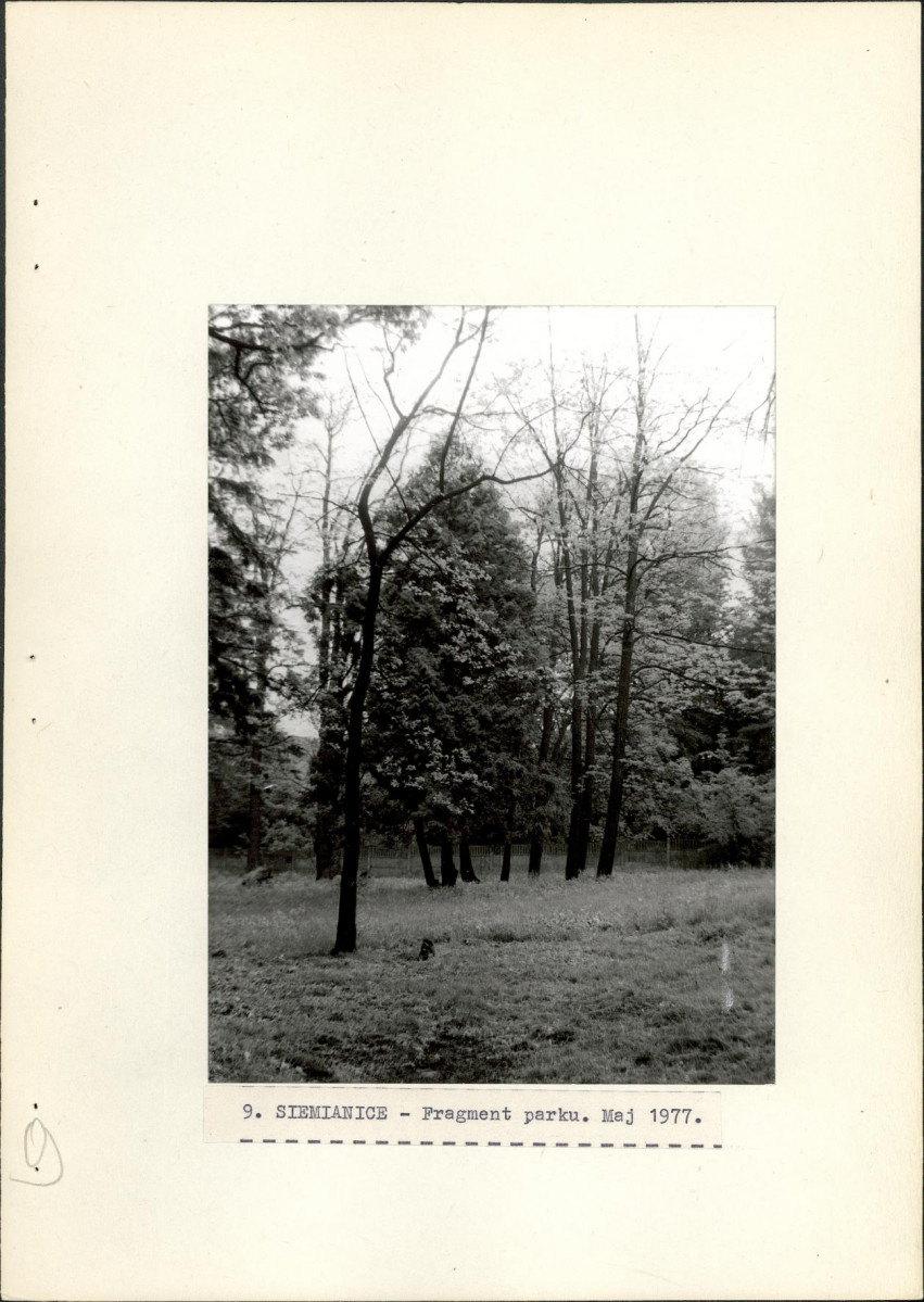 Ewidencja parkowa, skan nr 31
