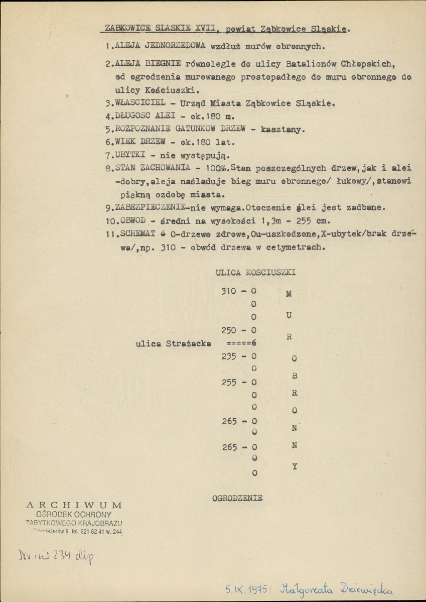 EP - Ewidencja parkowa, skan nr 13