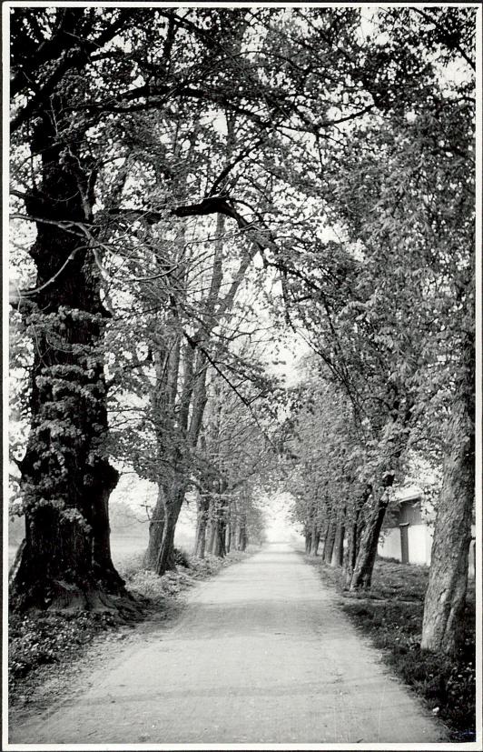 EP - Ewidencja parkowa, skan nr 4