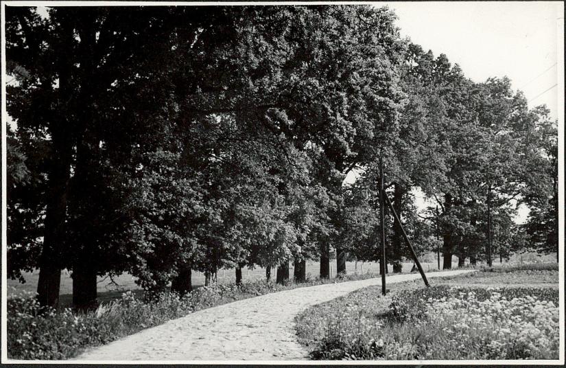 Ewidencja parkowa, skan nr 3