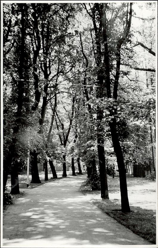 Ewidencja parkowa, skan nr 4